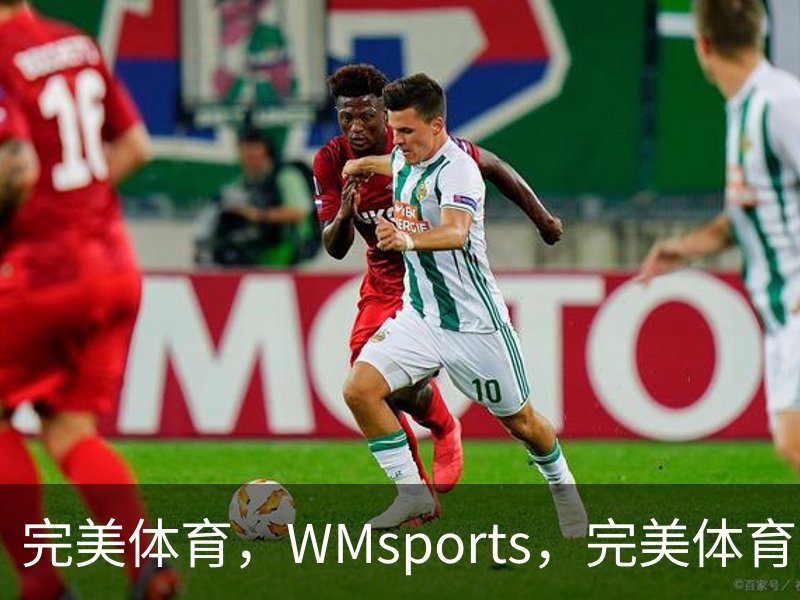 了解完美体育，WMsports，完美体育官方，完美体育平台，完美体育下载